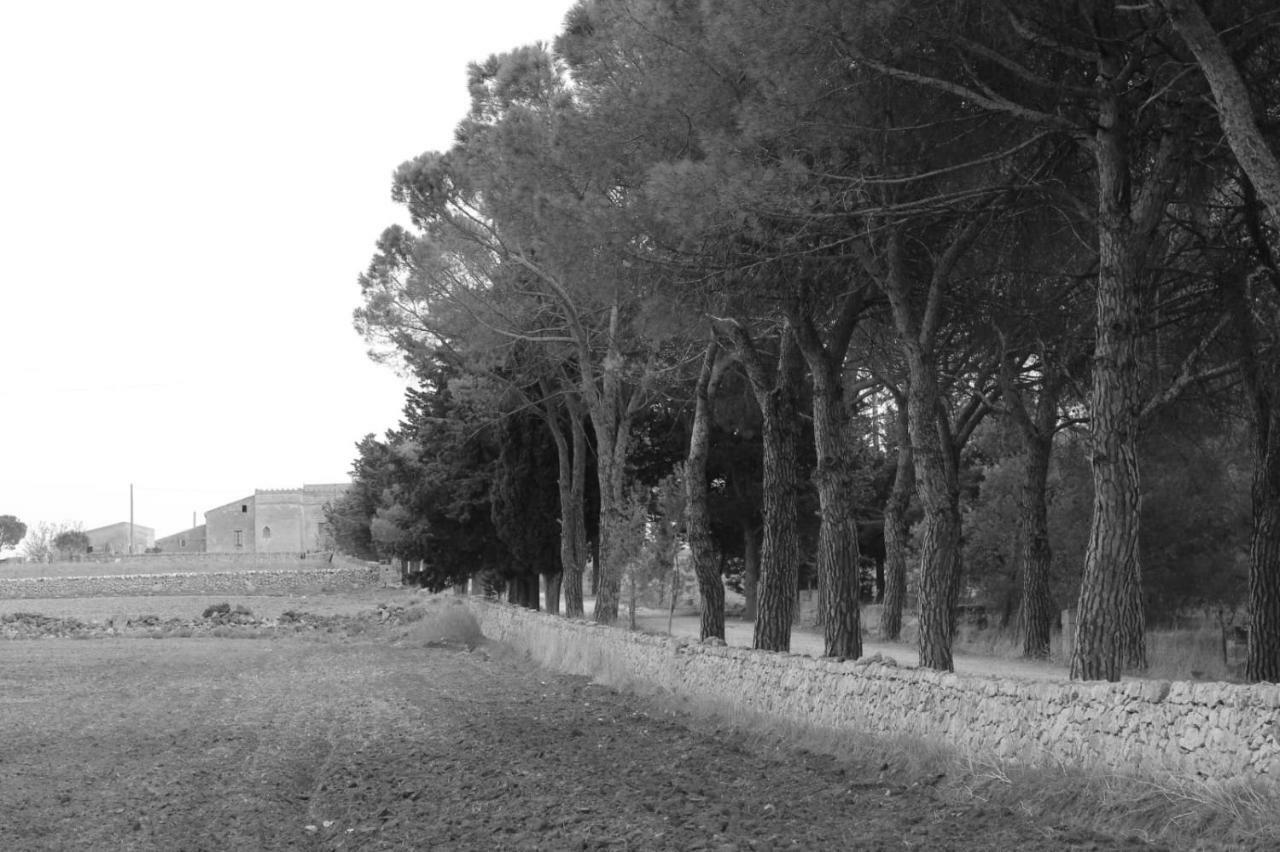 مبيت وإفطار ألتامورا Giardino Della Moscatella المظهر الخارجي الصورة