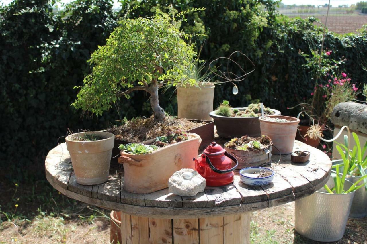 مبيت وإفطار ألتامورا Giardino Della Moscatella المظهر الخارجي الصورة