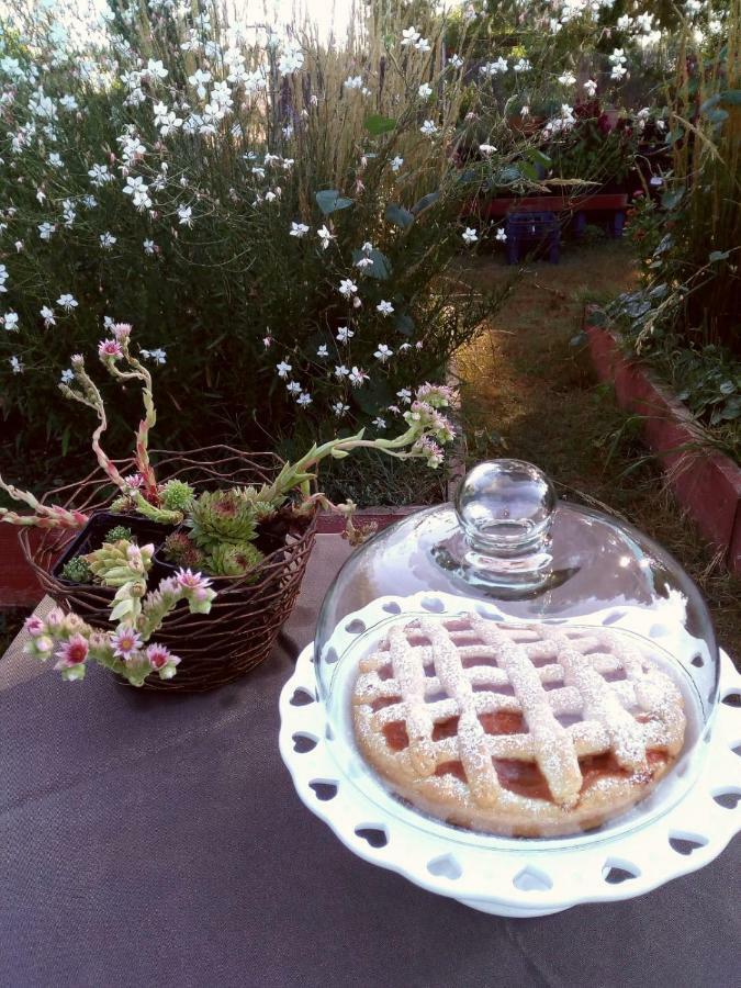 مبيت وإفطار ألتامورا Giardino Della Moscatella المظهر الخارجي الصورة