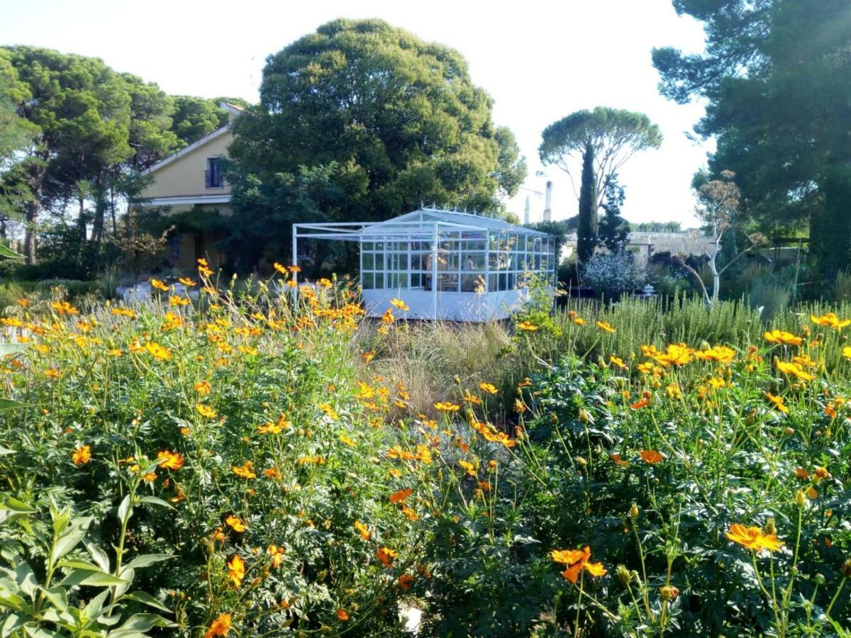 مبيت وإفطار ألتامورا Giardino Della Moscatella المظهر الخارجي الصورة