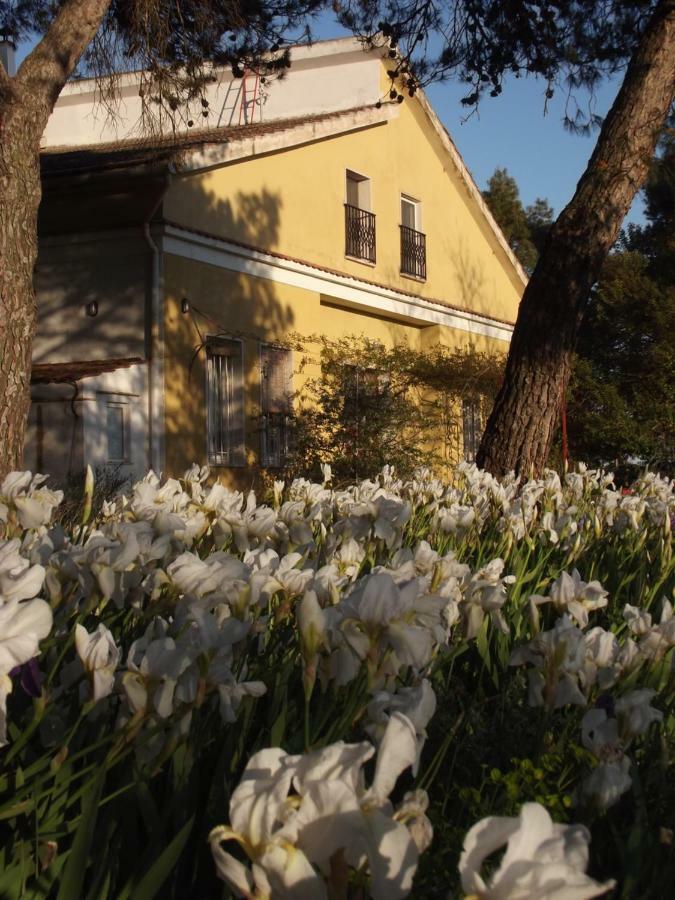 مبيت وإفطار ألتامورا Giardino Della Moscatella المظهر الخارجي الصورة